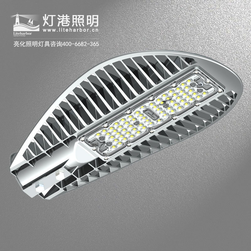 DG5109-LED路燈定制廠家 太陽(yáng)能戶外防水大功率高架橋亮化led路燈工程款